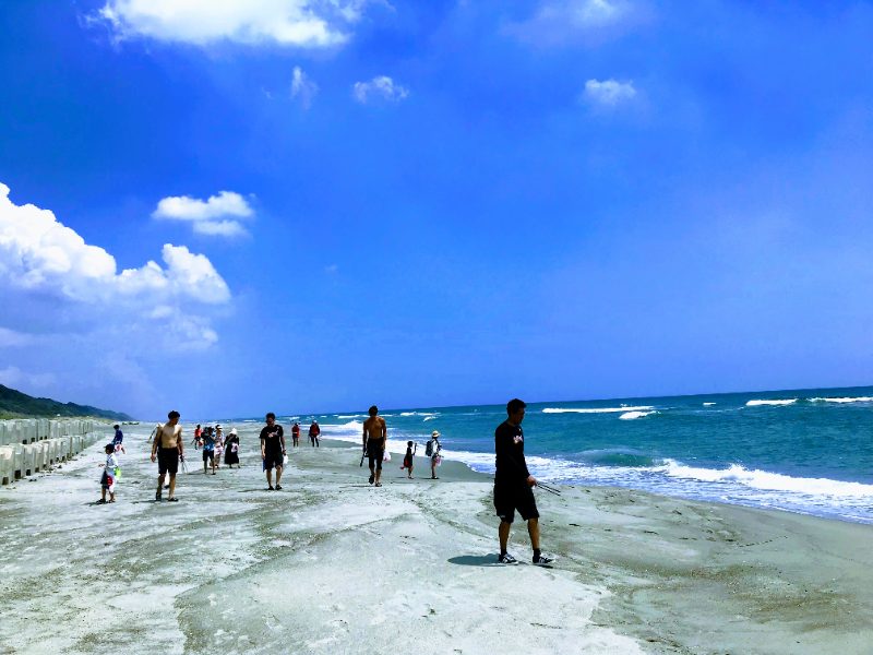 海岸でのビーチクリーン活動の様子