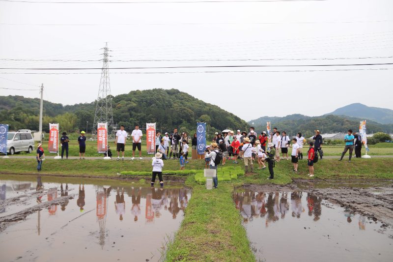 一反パートナーの田植えの様子